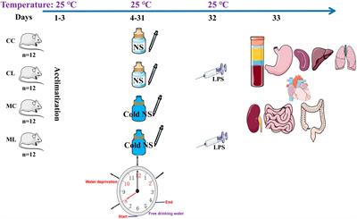 Omics analysis of the effect of cold normal saline stress through gastric gavage on LPS induced mice